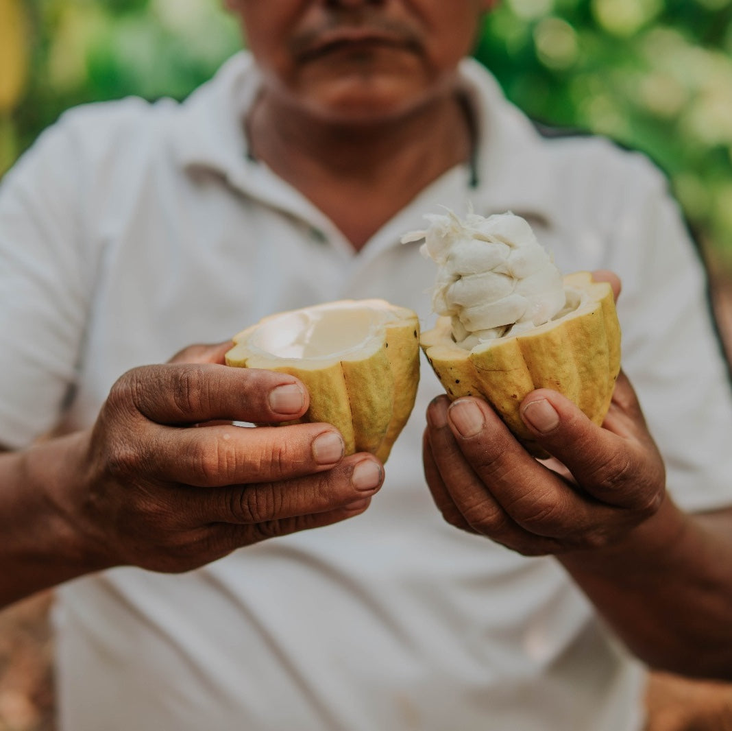 Crystal Cacao® Create – Organic
