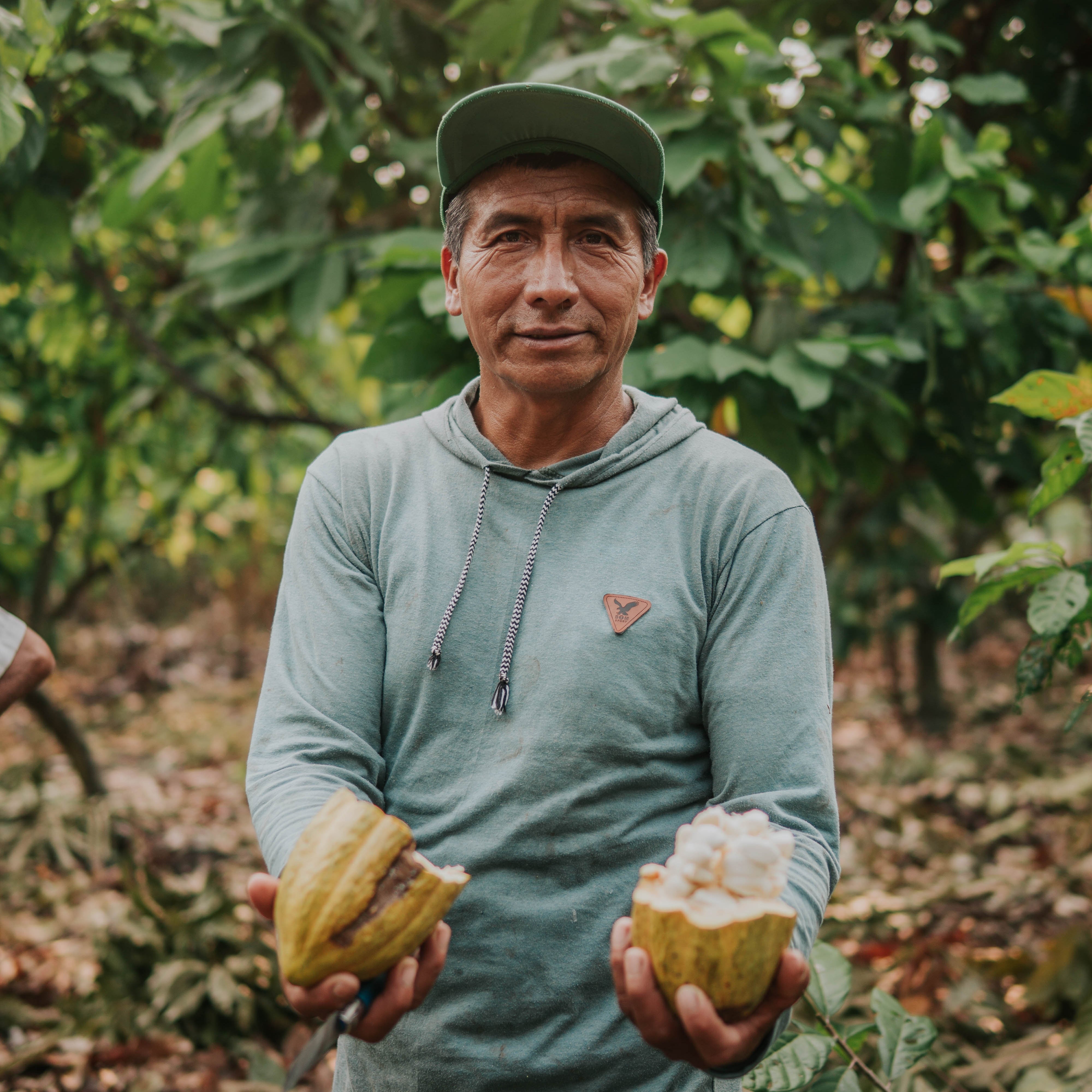 Crystal Cacao® Awake – Organic